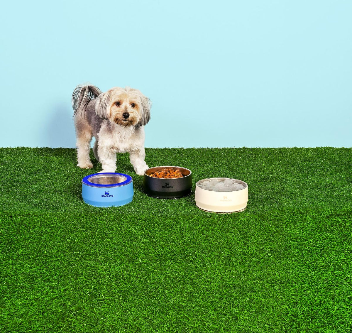STANLEY Pet Bowl with Lid, 24 Oz (3 Cups), Cream