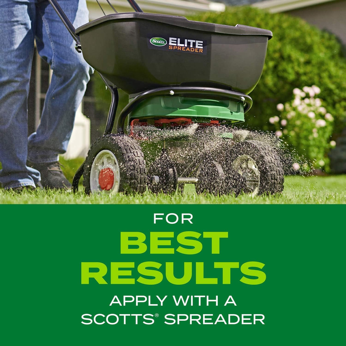 Scotts Turf Builder Rapid Grass Tall Fescue Mix, 5.6 Lbs.
