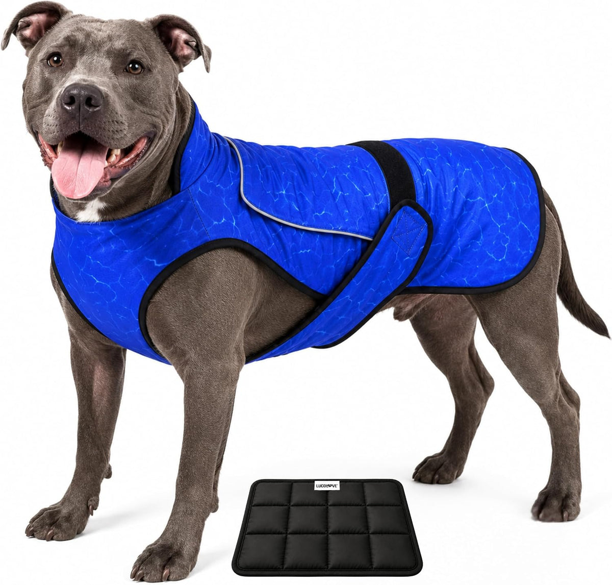 Dog Cooling Vest with Ice Pack & Cooling Collar, Blue Aqua, L