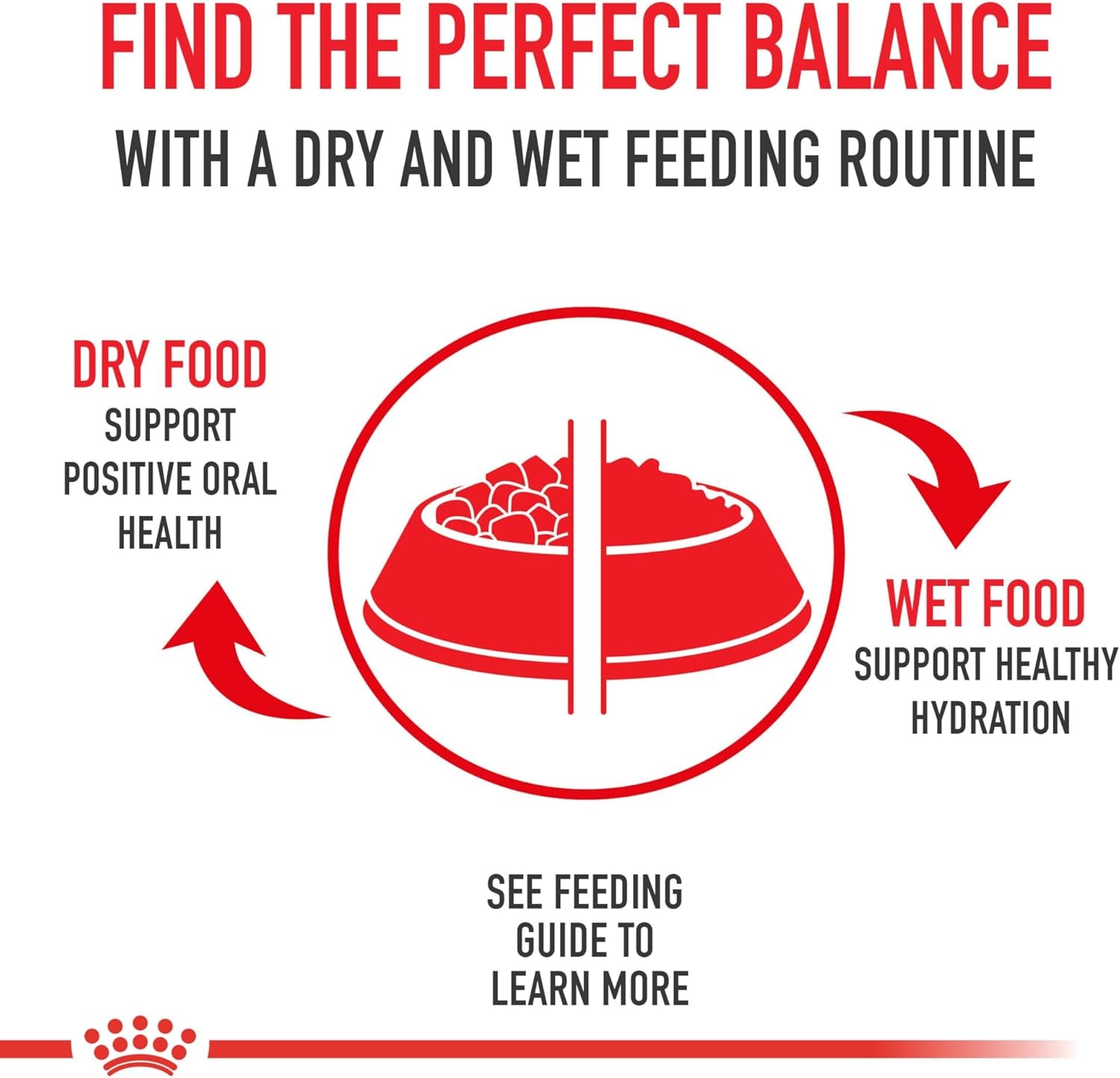 Royal Canin Breed Health Nutrition Golden Retriever Adult Dry Dog Food, 17 Lb Bag