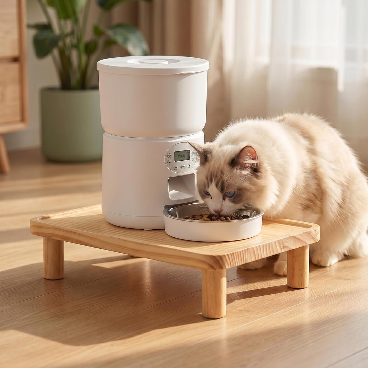 Elevated Cat Feeder Stand, 3.9" Raised Wood Station for Bowls & Feeders