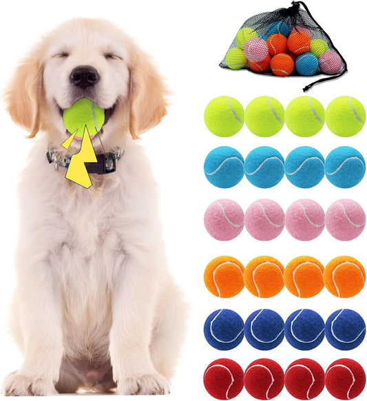 Swingers Squeaky Tennis Balls for Dog, 2.5 Inch Training Tennis Balls