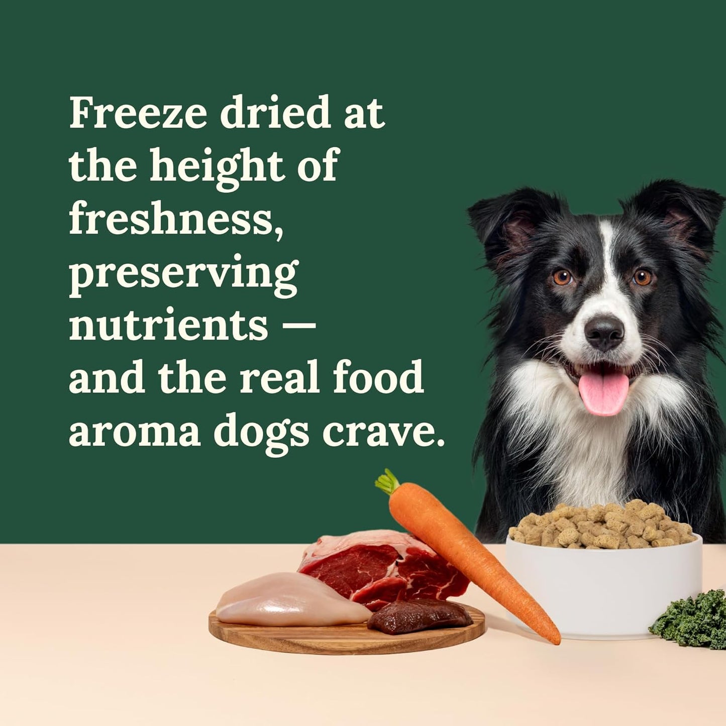 360 Pet Nutrition Freeze-Dried Raw Dog Food – Multi-Protein with Beef, Chicken, Fish, Liver & Organs, High Protein, Omega-3S, Fruits, Veggies & Superfoods, Grain-Free, No Fillers, 1 Lb – Made in USA