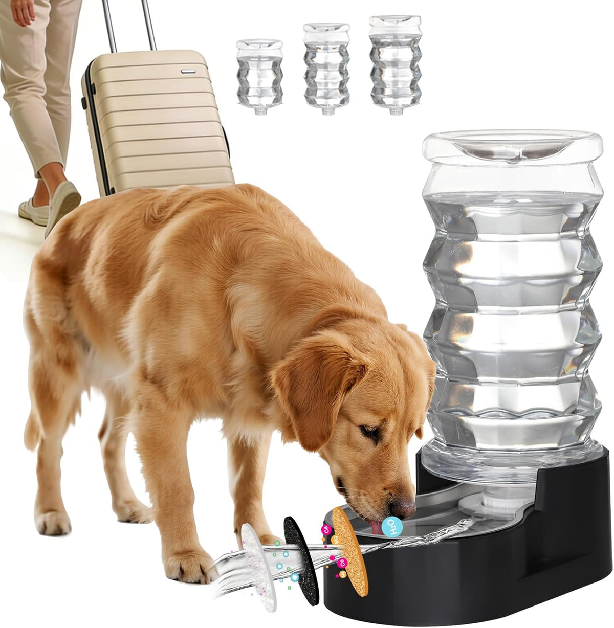 RIZZARI 8L Filtered Dog Water Dispenser: Stainless Steel Bowl for Pets