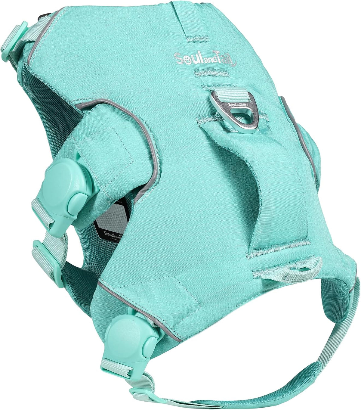 Trail Leap Dog Harness, Magnetic Buckles, Mint Green, L