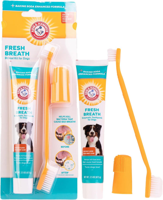 Arm & Hammer Enzymatic Dog Dental Care Kit, Chicken Flavor, 2.5 Oz Tube