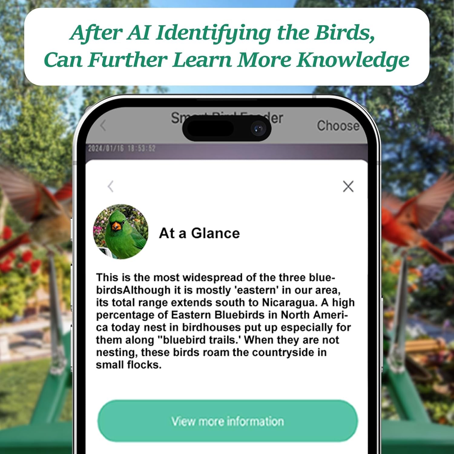 Bird Feeder with Camera,2K Live View,Wifi Smart Bird House with Cam Solar Powered for Outdoor,Night Vision,Ai Identify,Auto Record Video,Real-Time App Alerts,Birdwatching Gifts for Family,Birds Lover