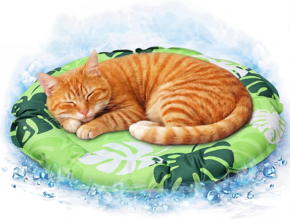 Drydiet Pet Cooling Mat for Cats & Small Dogs, Gel Pad, Washable, 20.1 In