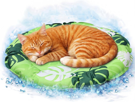 Drydiet Pet Cooling Mat for Cats & Small Dogs, Gel Pad, Washable, 20.1 In