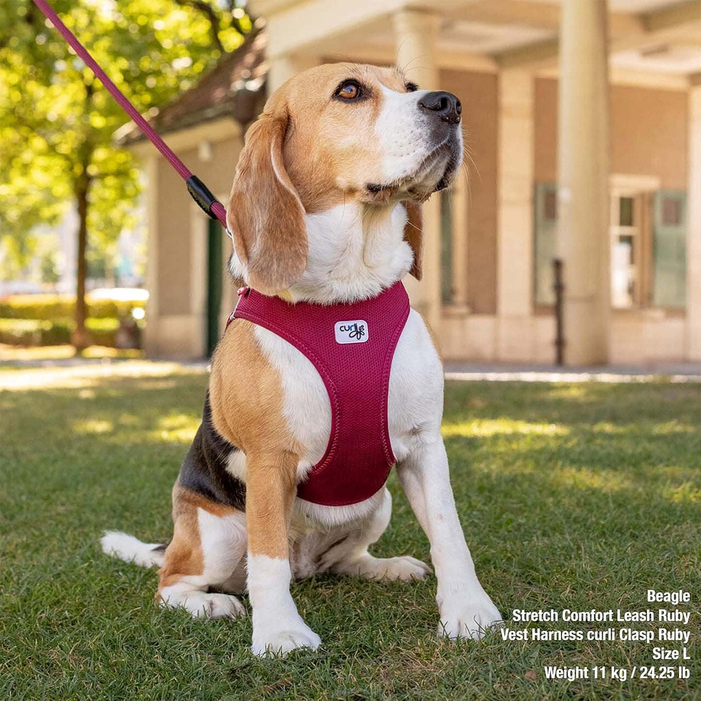 Vest Harness Curli Clasp Air-Mesh Fuchsia S