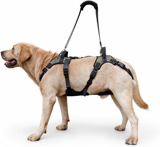 COODEO Dog Lift Harness for Senior Dogs, Full Body Support Sling, Adjustable Pet Lifter Vest with Shoulder Strap for Arthritis, Hip Dysplasia, Weak Rear Legs & Post-Surgery Recovery(Black,Xl)