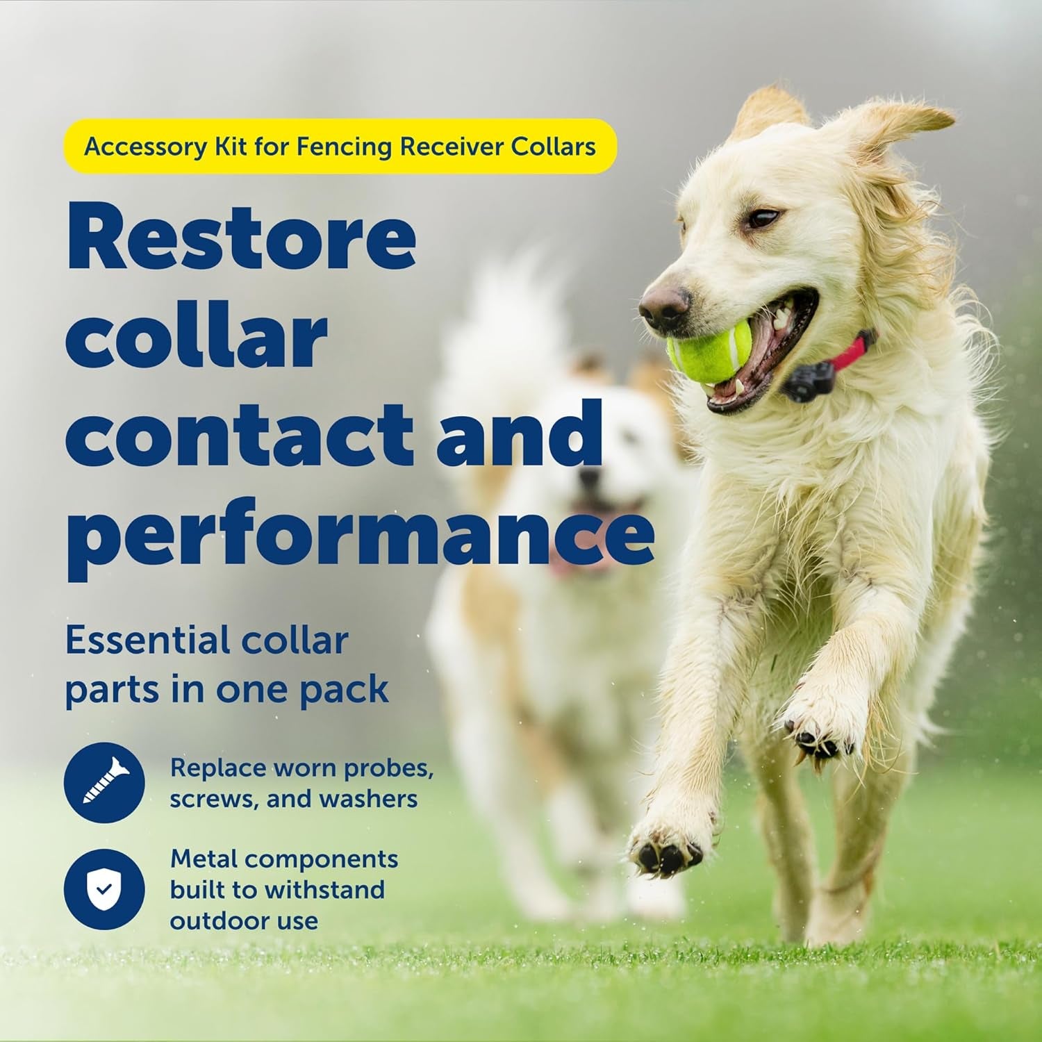 Petsafe Replacement Collar Accessory Kit for In-Ground & Wireless Dog Receiver Collars - Includes Short & Long Contact Points, Level Covers, Hardware from the Parent Company of Invisible Fence Brand