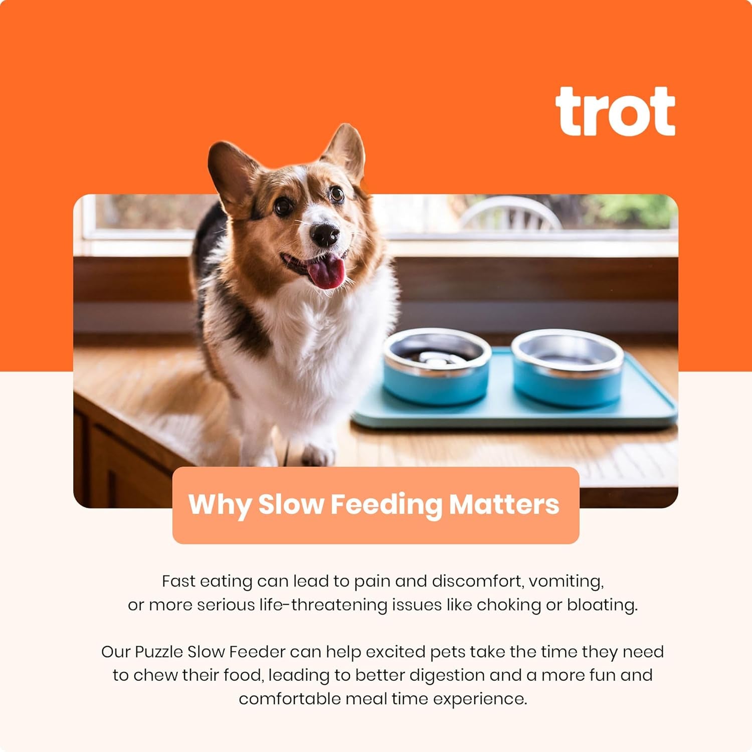 Trot Pets Premium Dog Bowls | Stainless Steel Bowl Set for Small, Medium, or Large Dogs | Non-Slip Food and & Water Slow Feeder | Durable, Bpa-Free, Anti-Skid, Dishwasher Safe (Cobalt, Small)