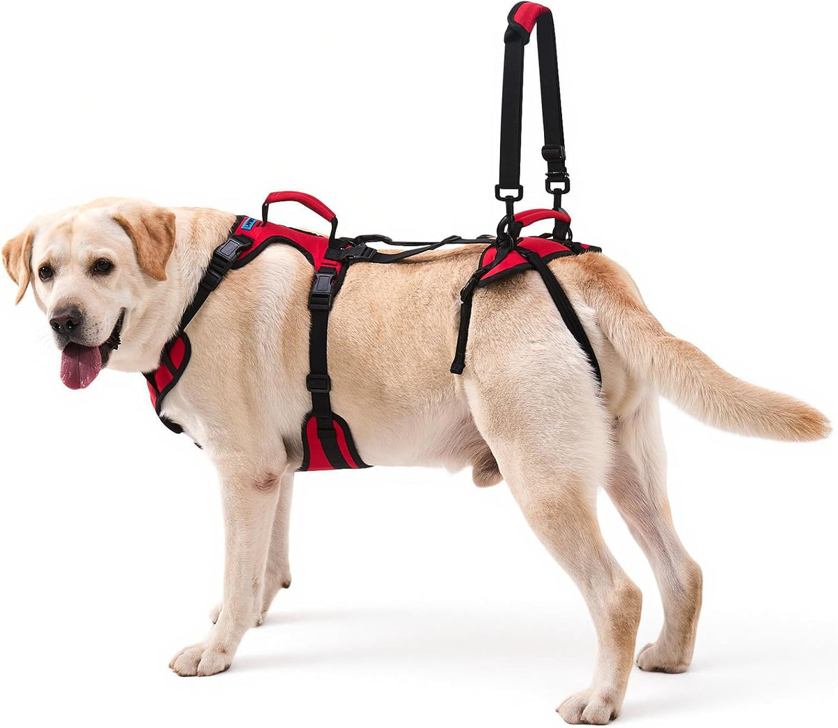 Dog Lift Harness for Large Dogs, Full-Body Support Dog Harness for Stairs & Hind Leg Weakness, Senior Dog Walking Assist, Male Dog-Friendly & Comfortable, Red, L