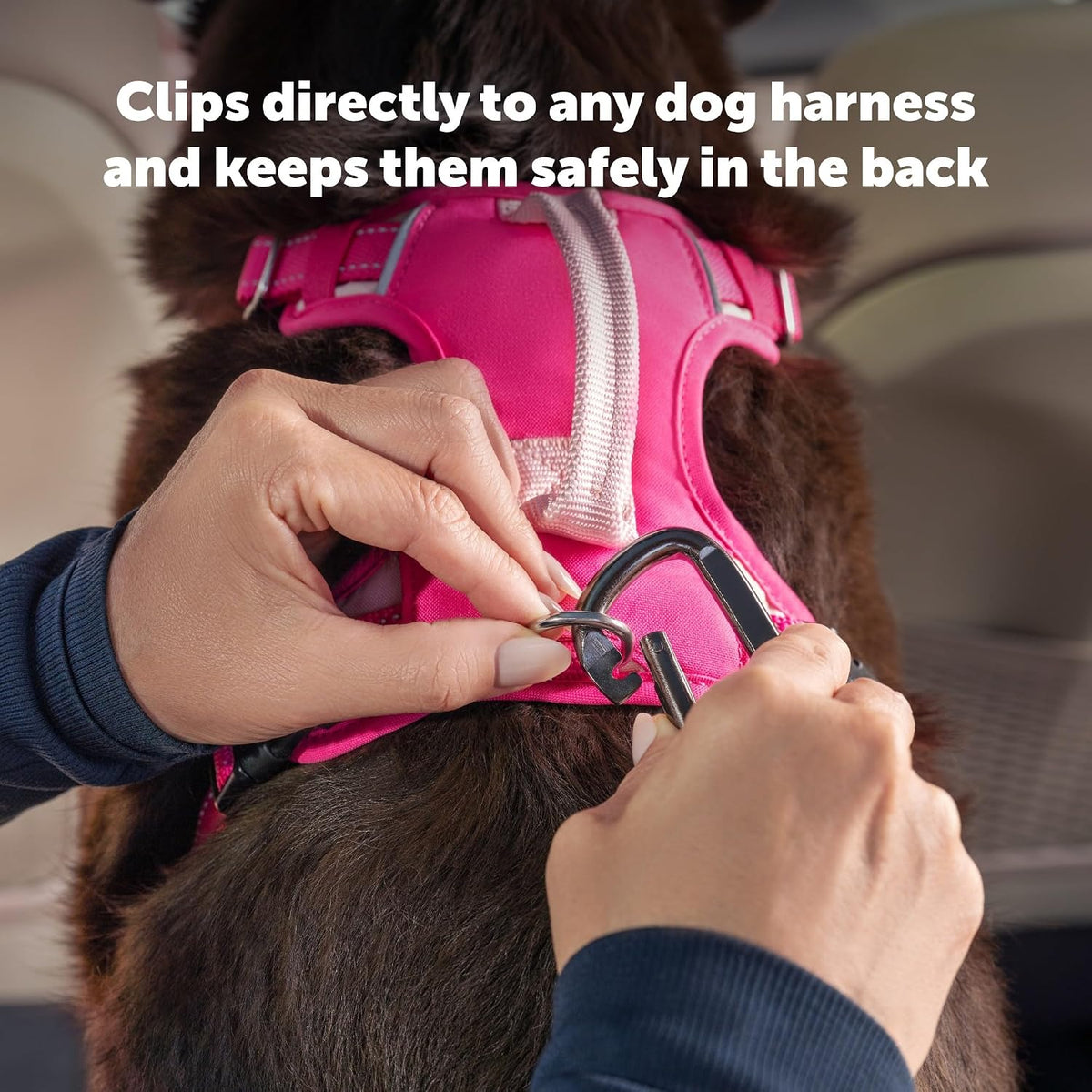 Petsafe Safety Seatbelt Dog Tether, Black