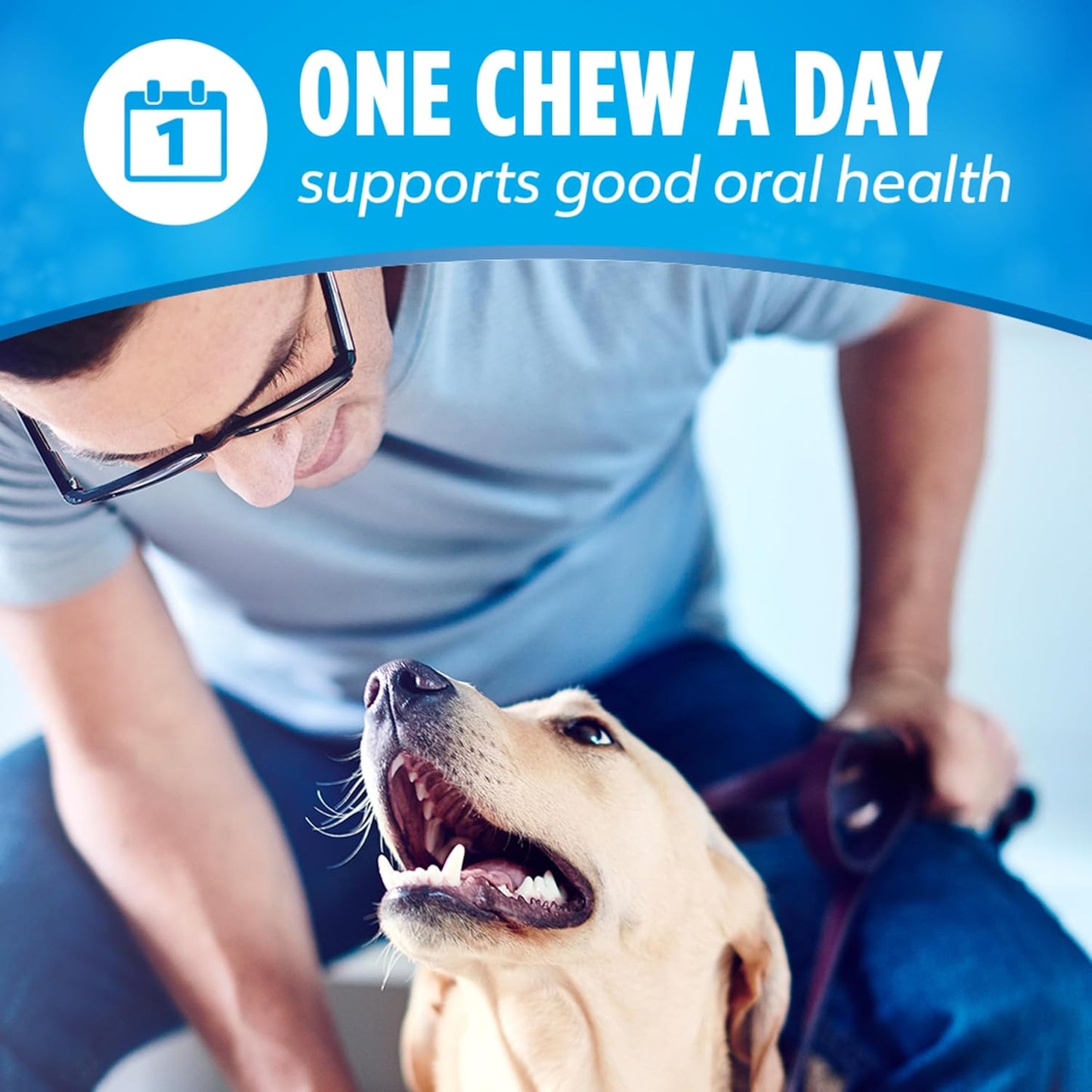 Purina Dentalife Daily Oral Care Dog Dental Chews for Small and Medium Breed Dogs - 60 Ct.