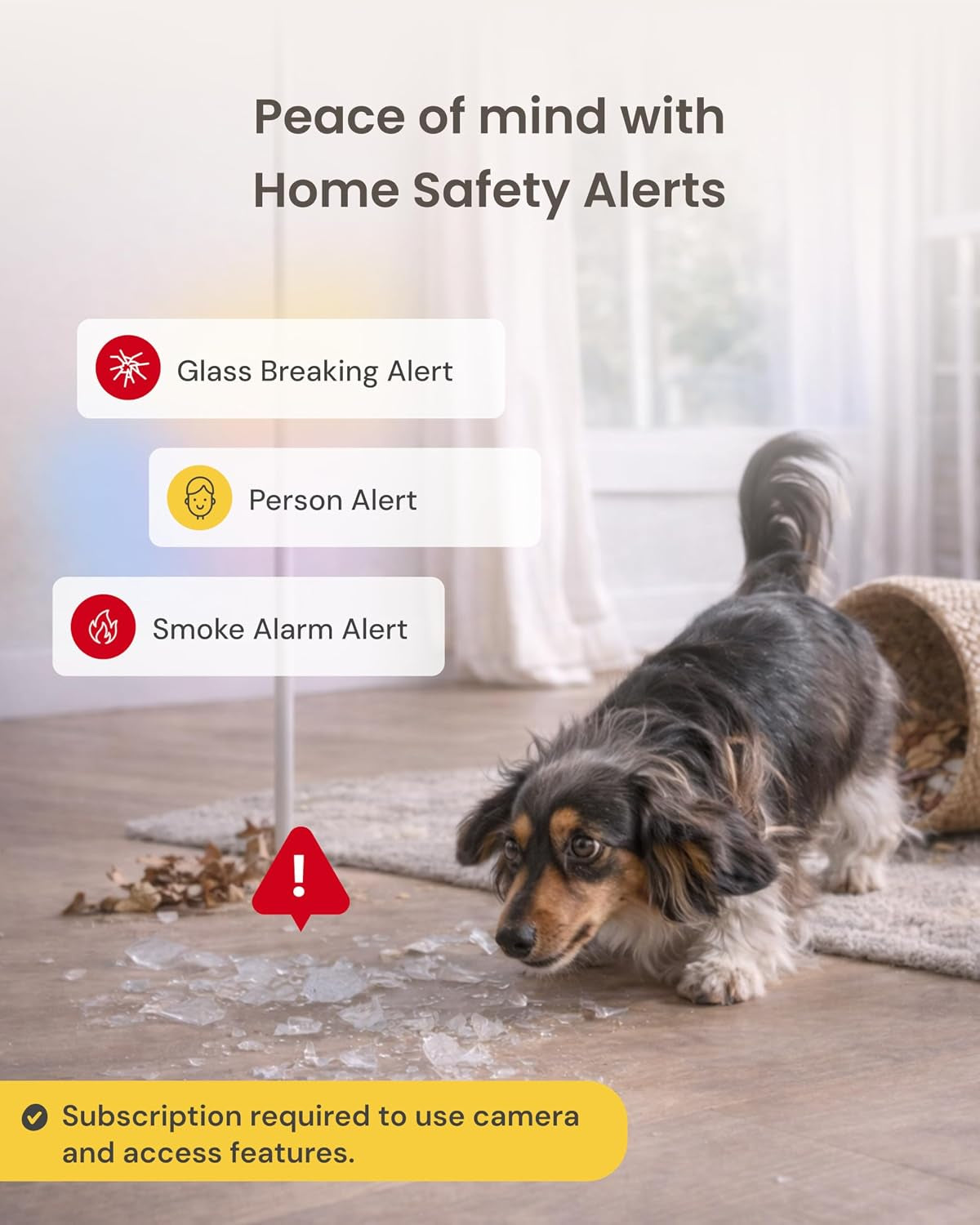Furbo 360° Dog Camera [Paid Plan Required to Activate]