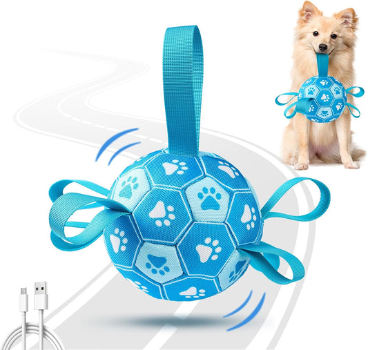 Interactive Dog Toys Dog Soccer Ball to Keep Them Busy(Blue)