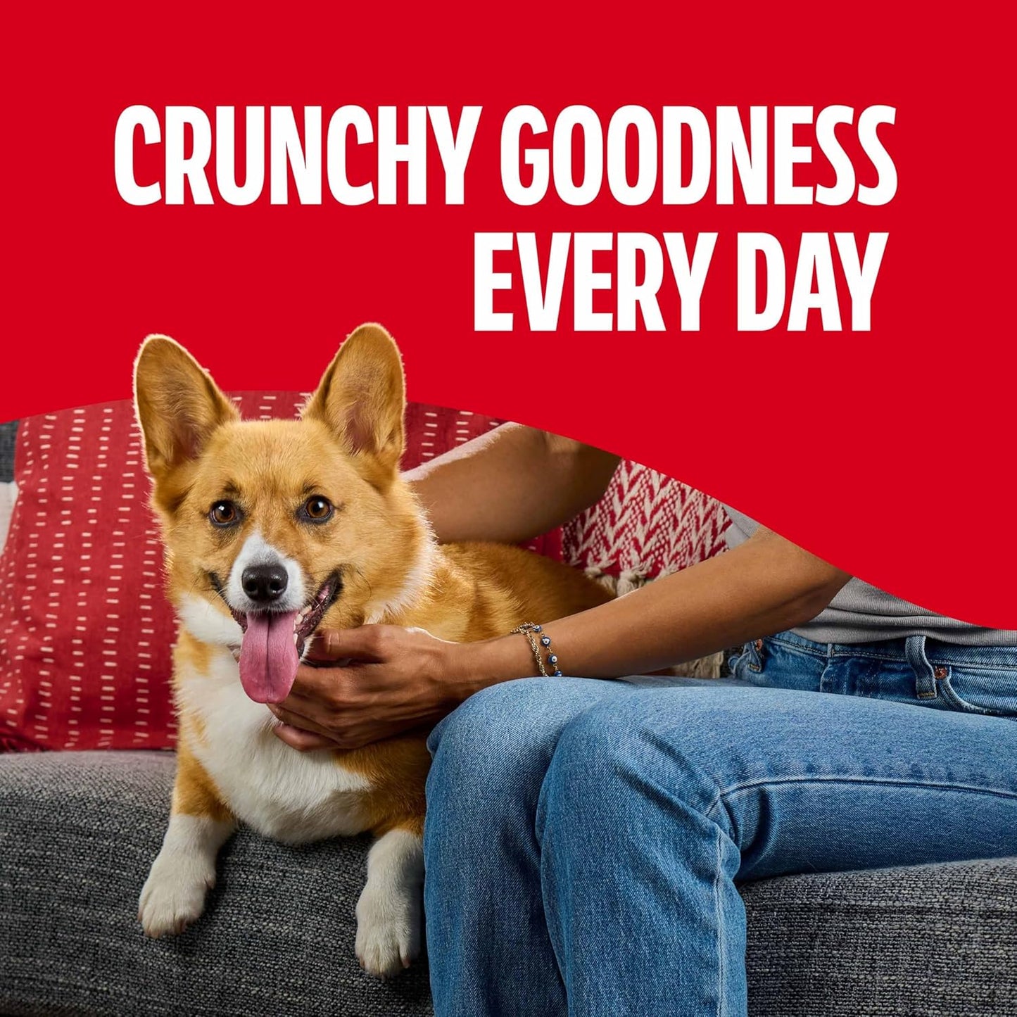 Milk-Bone Flavor Snacks Small Dog Biscuits, Flavored Crunchy Dog Treats, 7 Pound Box