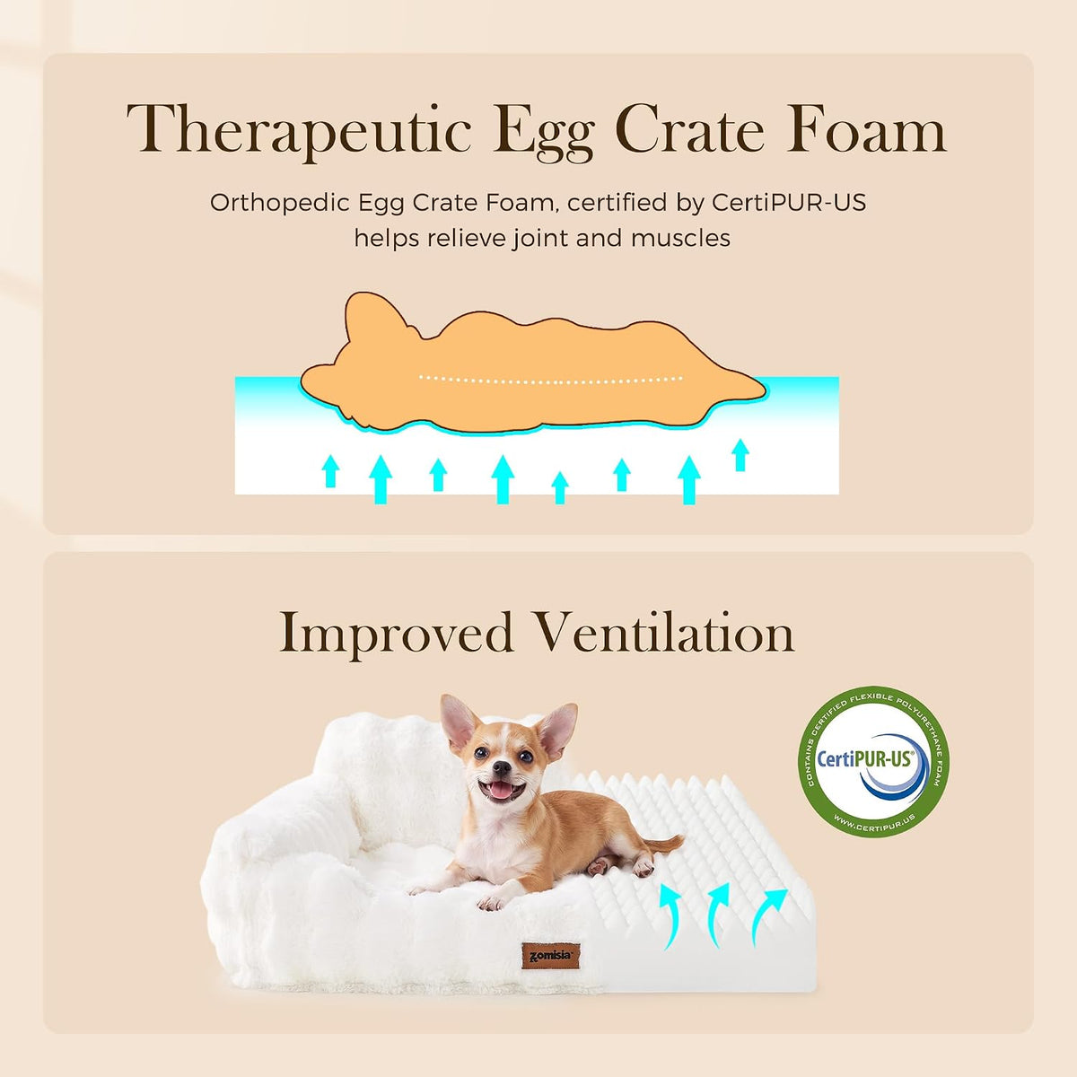 ZOMISIA Orthopedic Cat Couch Bed for Indoor Cats, Removable Washable Cover