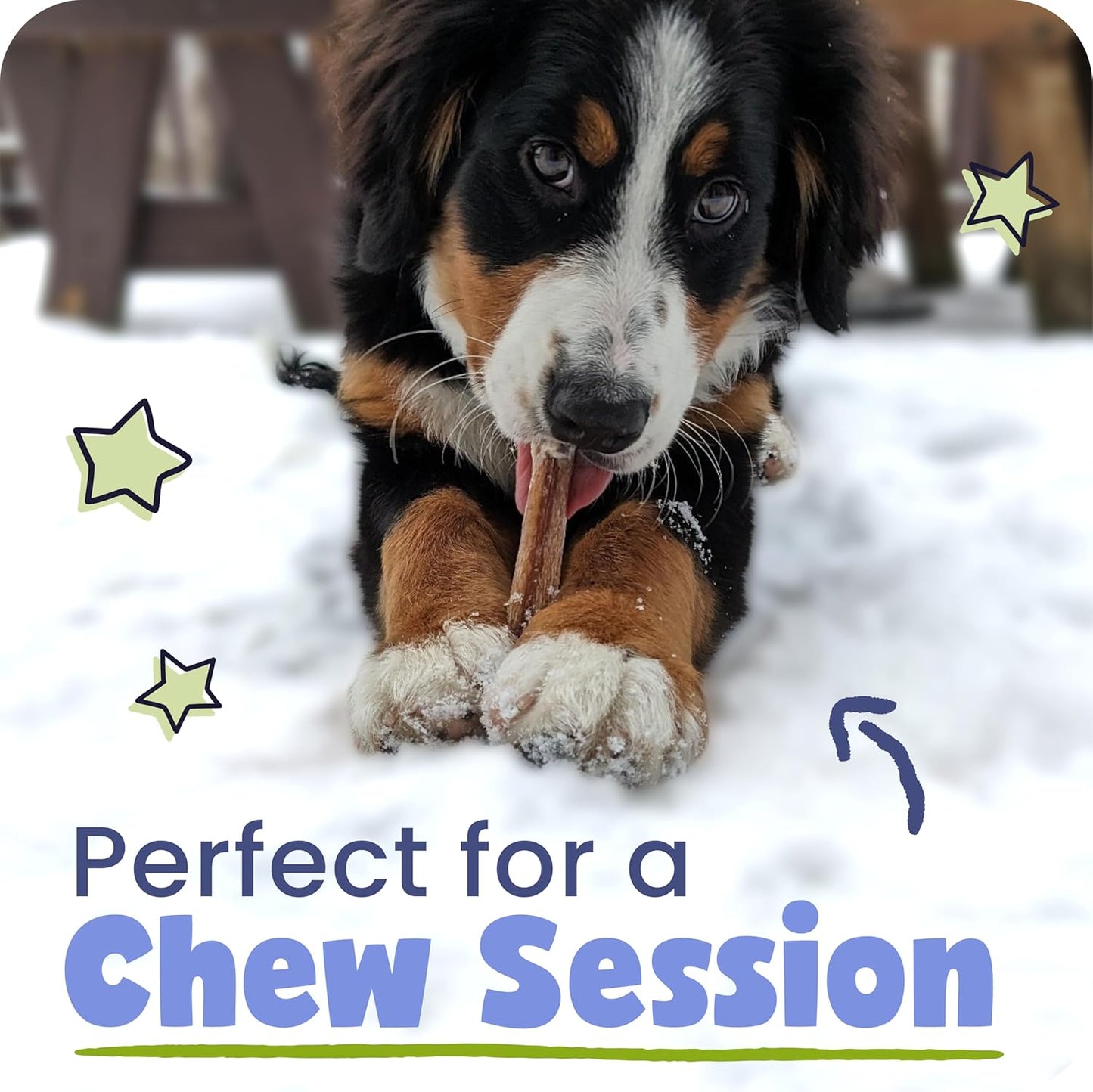 Pawstruck Natural 1–4" Bully Stick Bites for Small Dogs and Puppies – Single Ingredient, Digestible, Rawhide-Free, High-Protein Chew Treat Bones – 8 Oz Bag – Packaging May Vary