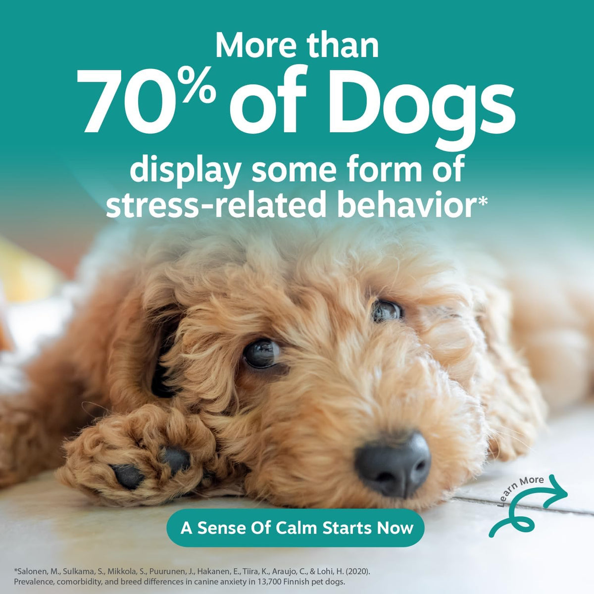 Zesty Paws Vet Strength Calming Chews for Dogs - Dog Calming, 90 Ct