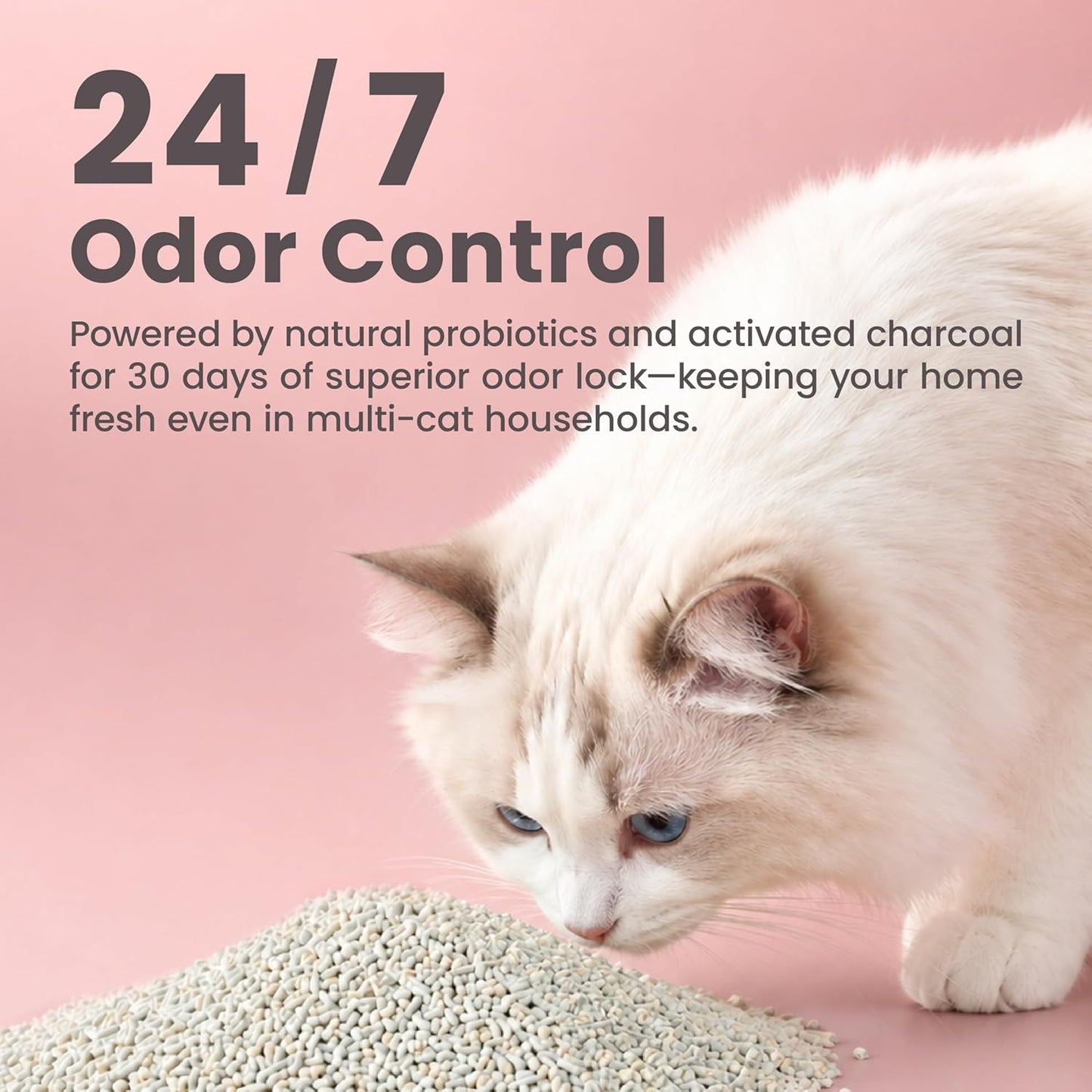Lady N Tofu Cat Litter, Low Dust Compatible with Auto-Box Unscented 9Lb | Mini-Pellet Shape, Strong Clumping, Ultra Absorbent, Activated Charcoal Odor Control