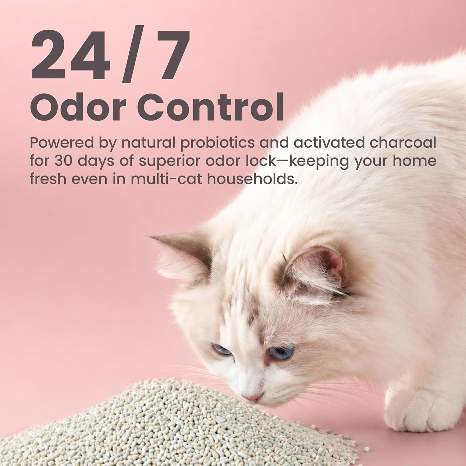 Lady N Tofu Cat Litter, Low Dust Compatible with Auto-Box Unscented 9Lb | Mini-Pellet Shape, Strong Clumping, Ultra Absorbent, Activated Charcoal Odor Control