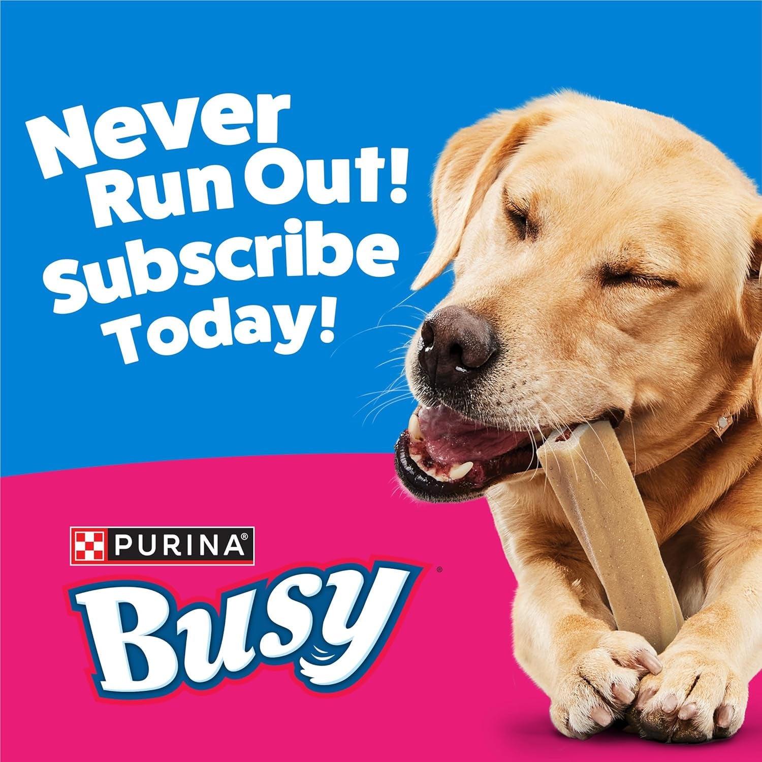 Purina Busy Bone Adult Dog Chew Bone Treats, Original - 6 Ct. Pouch