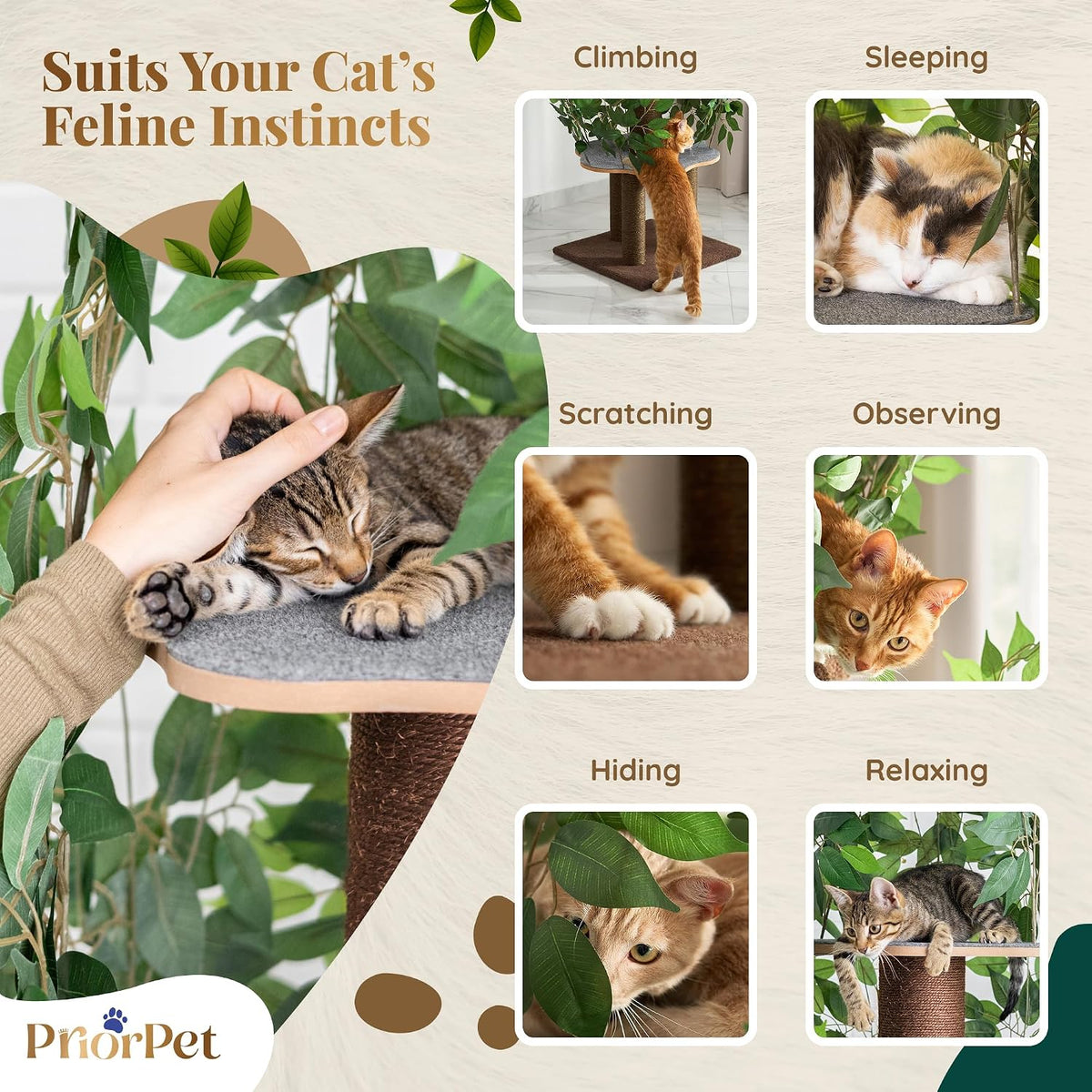 Cat Tree with Leaves – Stable & Space-Saving Design – 4 Scratch Levels & 5 Scratching Posts – for Climbing, Hiding and Sleeping – Easy to Assemble – Durable Cat Trees for Indoor Cats – Natural Look