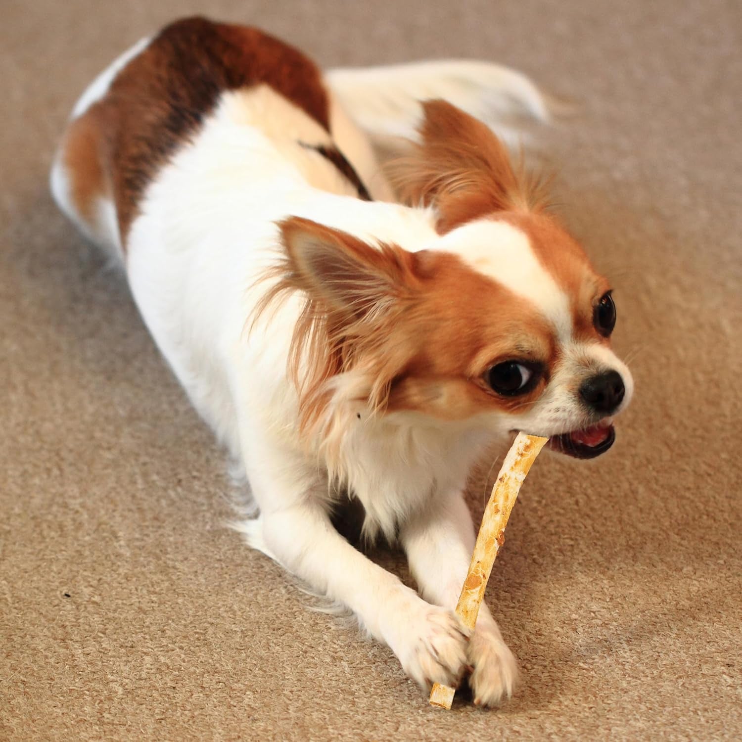 Fieldcrest Farms Nothin' to Hide Twist Stix, Chicken Flavor, Easily Digestible, Supports Skin, Coat, Joints & Muscles, for Moderate Chewers under 15Lbs, 10 Pcs