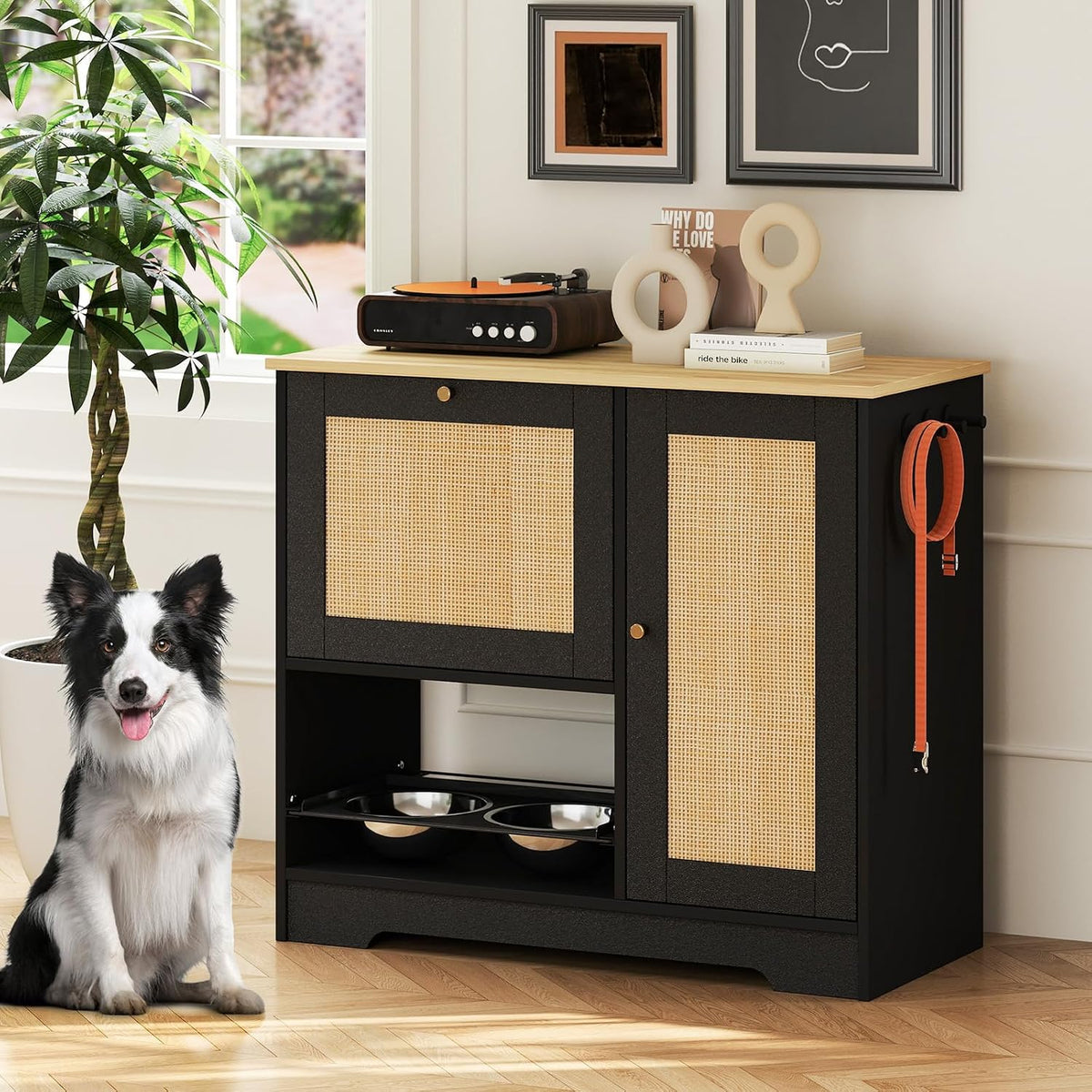 Rovibek Dog Food Storage Cabinet with 2 Raised Dog Bowls and Storage
