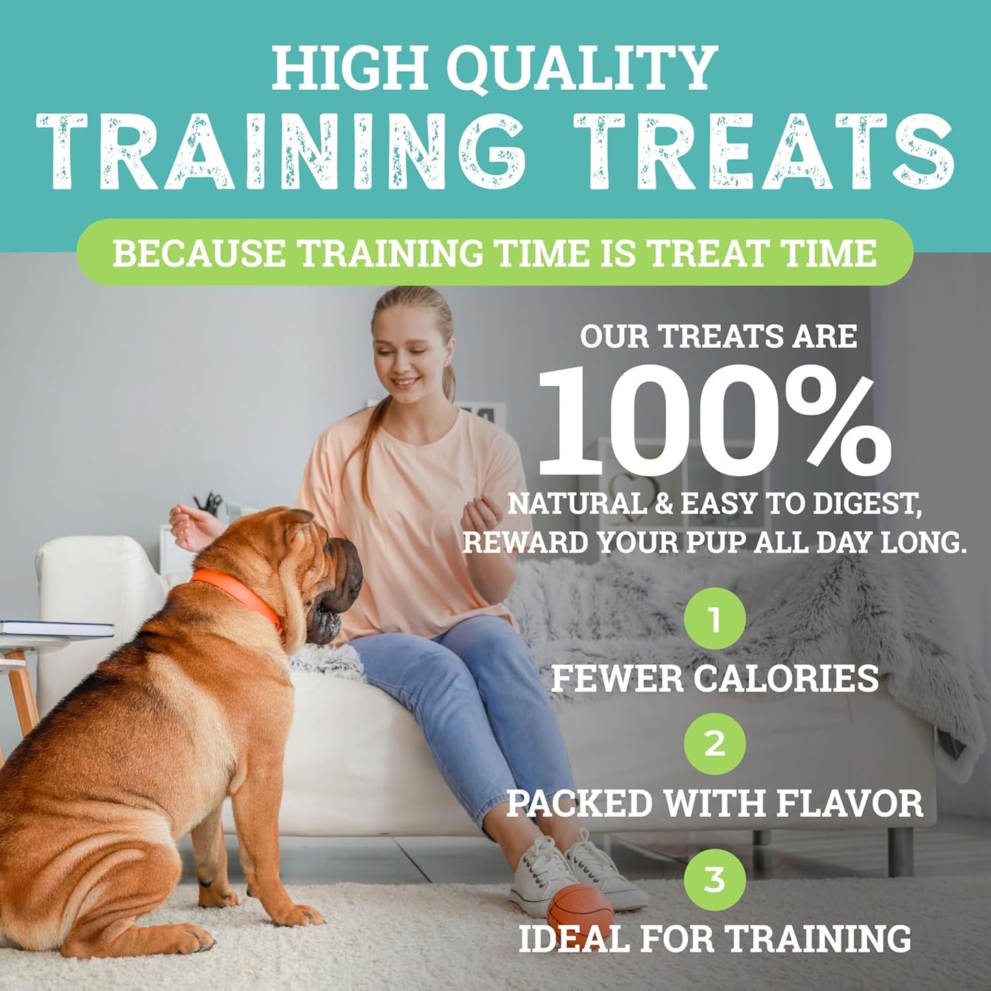 Etta Says! Training Treats - All Natural Cheese Soft Treats for Dogs - Made in the USA (16 Oz Pack of 1)