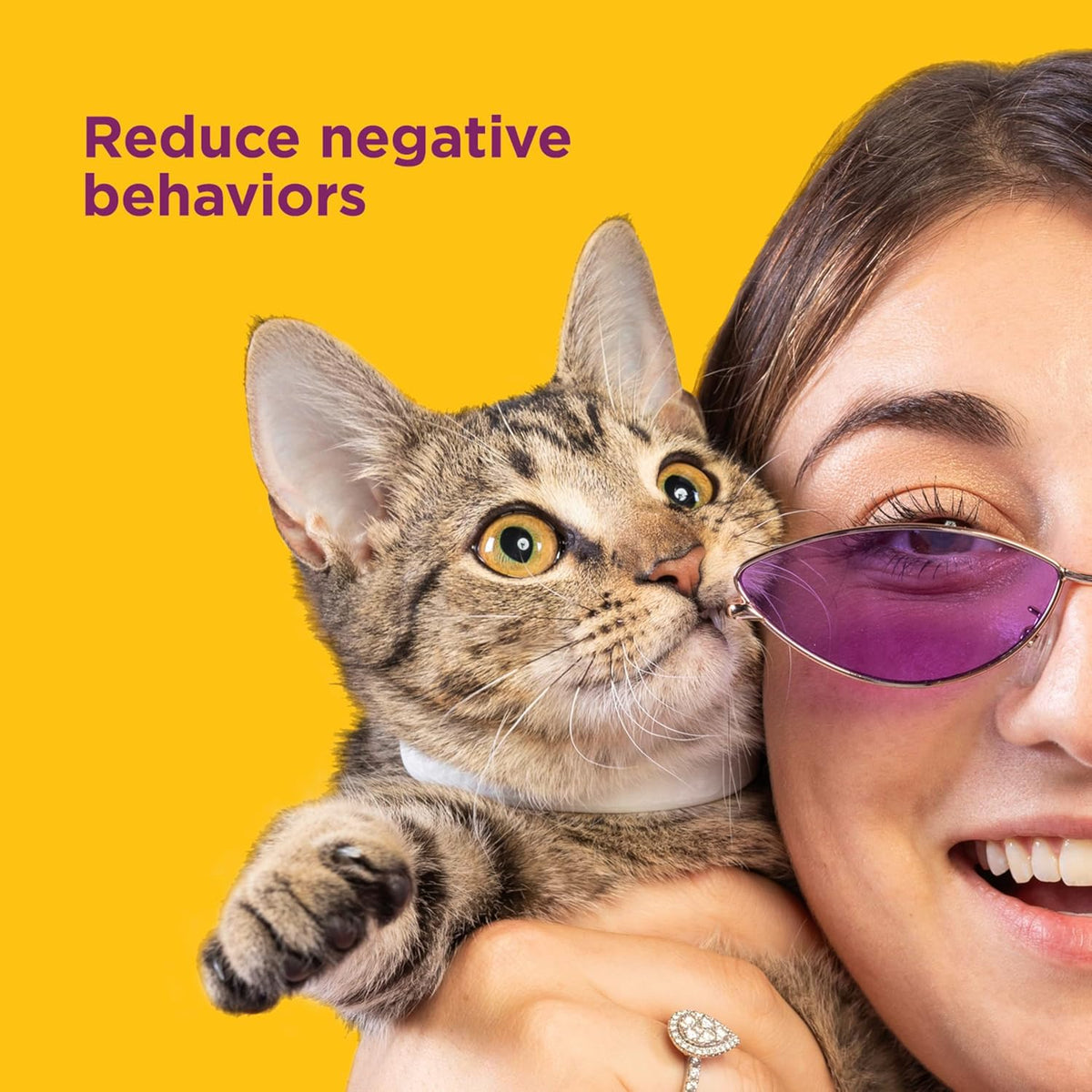 Comfort Zone Cat Calming Collar Savings Pack, 2 30-Day Collars