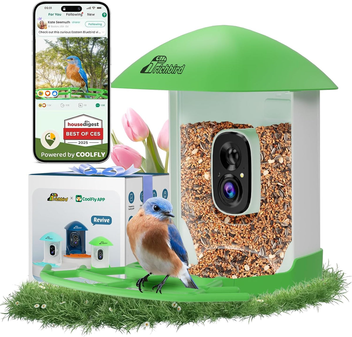 Bird Feeder with Camera, Smart Bird House with Cam for Outside