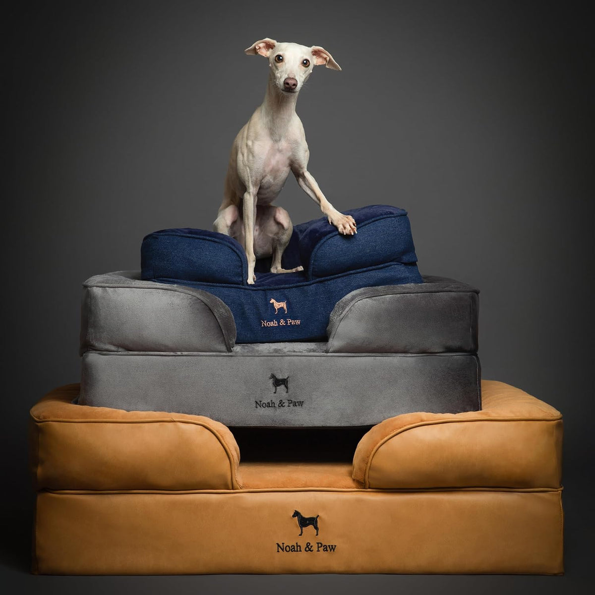NOAH & PAW XL Dog Bed, 45X35X11 Inch, Orthopedic Large Dog Beds, Eggshell Memory Foam Infused with Cooling Gel, Inner Cover, Water Resistant, Machine Washable