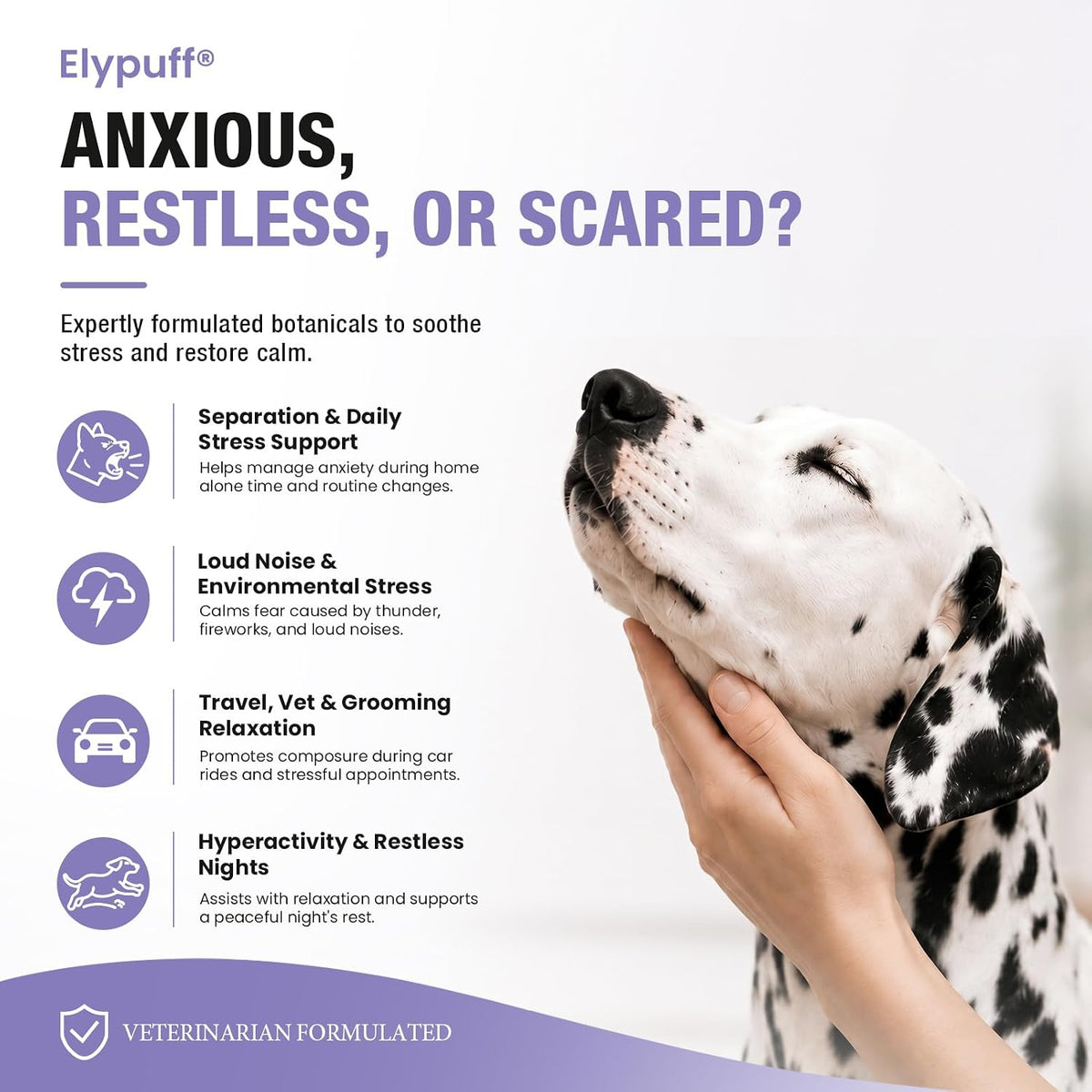 Calming Chews for Dogs - 180Ct Dog Calming Chews Anxiety and Stress Relief
