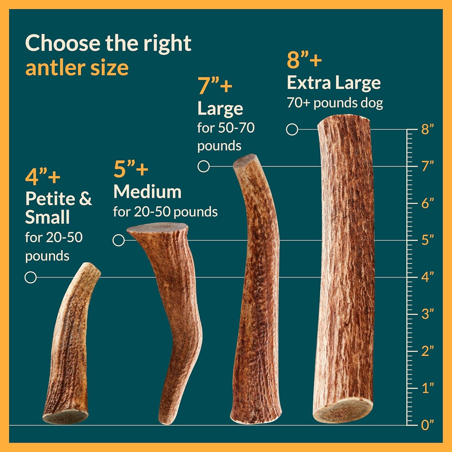 100% Natural - Antlers for Dogs - Naturally Shed in USA - Grade a Long Lasting Chew for Aggressive Chewers - Elk Antlers Dog Antler Chews - Real, Healthy Treats & Toys - No Odor & No Mess - Small