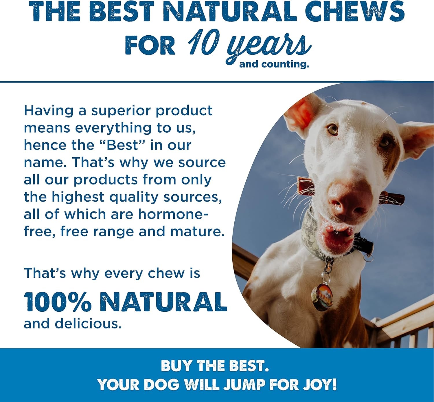 Best Bully Sticks Cheese Wrapped Beef Collagen Sticks - 12 Inch 10 Count (Pack of 1) - All-Natural, USA Baked and Packed, Easily Digestible, Limited Ingredient, Rawhide Alternative