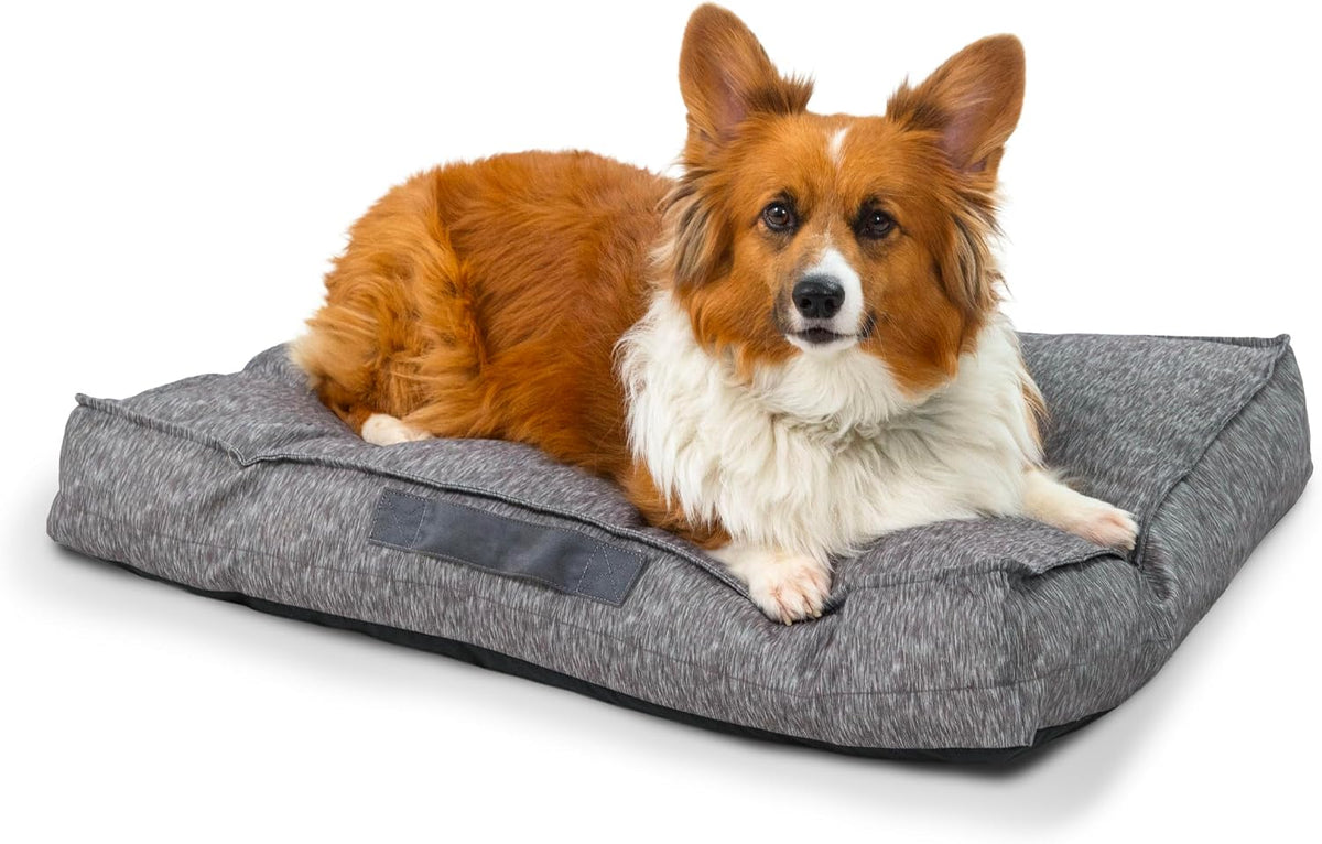 Best Friends by Sheri Dura-Tuff Durable Dog Bed, Gray, 30" X 20"