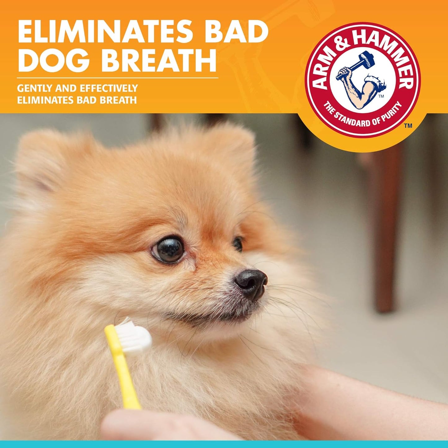 Arm & Hammer for Pets Fresh Breath Enzymatic Dog Toothpaste Vanilla Ginger Flavor Baking Soda Dental Gel Eliminates Bad Breath Safe Puppies Adult Dogs Daily Use 2.5 OZ Single at Home Dental Care