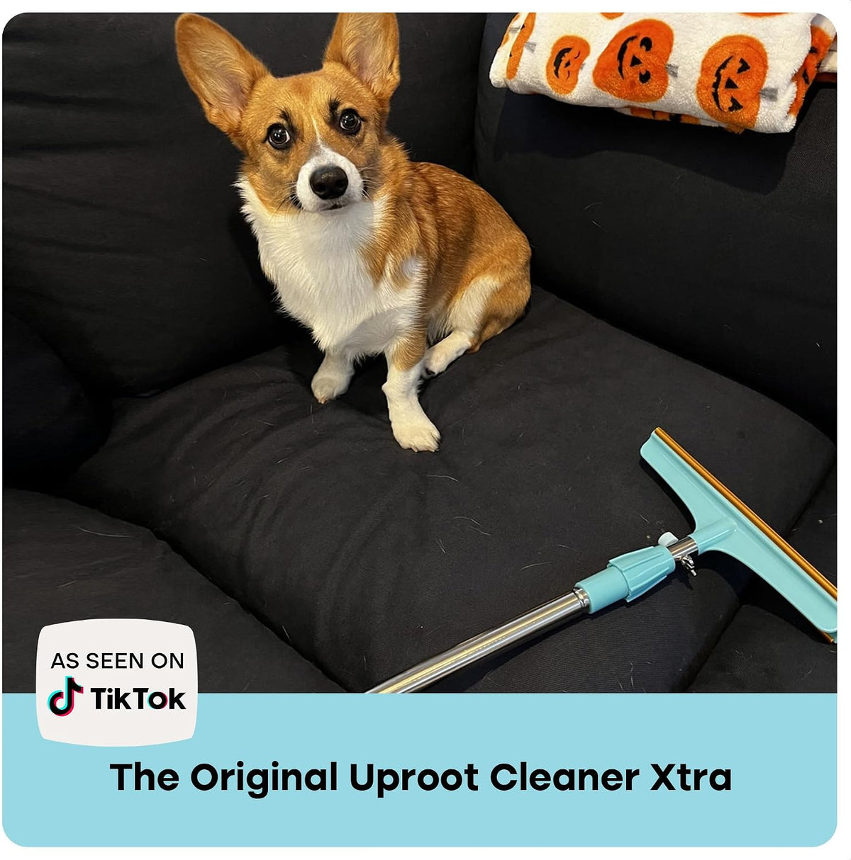 Uproot Clean Xtra Carpet Rake for Pet Hair Removal 60" Telescopic Handle