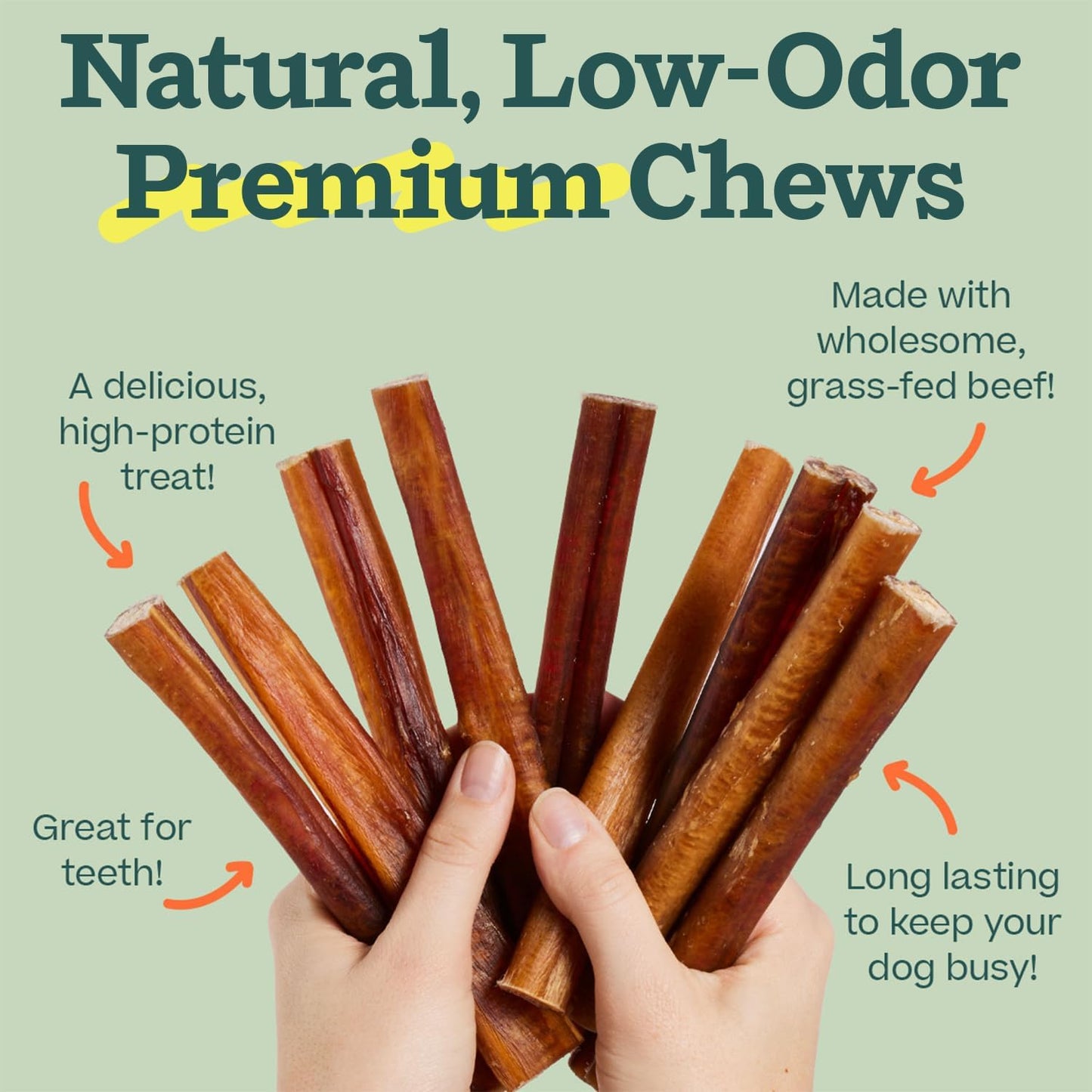 WOOF Bully Sticks Dog Treats - Chew Sticks for Dogs - Long-Lasting Dog Chew Treats - Made with Free-Range, Grass-Fed Beef - 6" Sticks - 10Pk