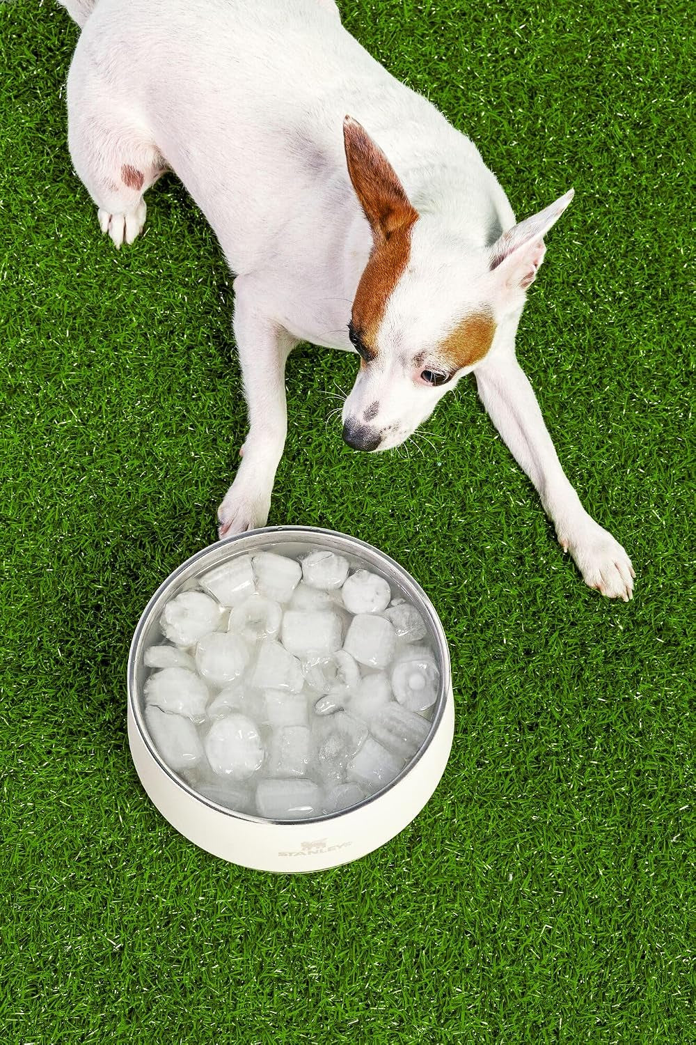 STANLEY Pet Bowl with Lid, 24 Oz (3 Cups), Cream