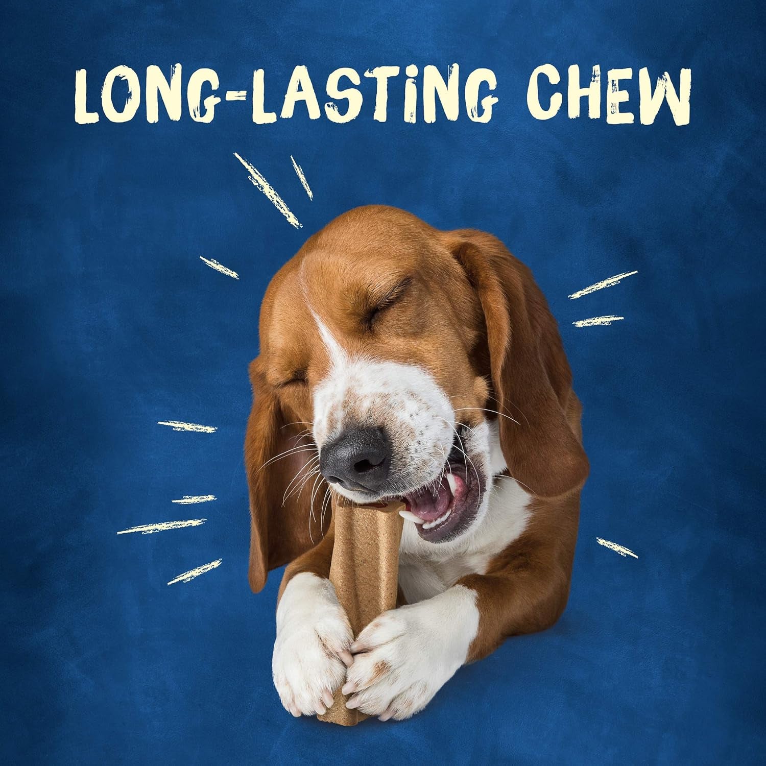Purina Busy Bone Adult Dog Chew Bone Treats, Original - 6 Ct. Pouch