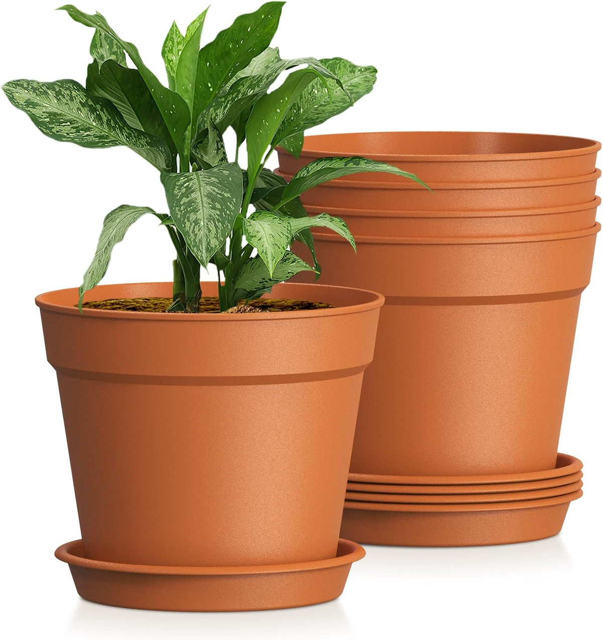 8 Inch 5 Pack Plastic Plant Pots with Drainage Holes and Trays