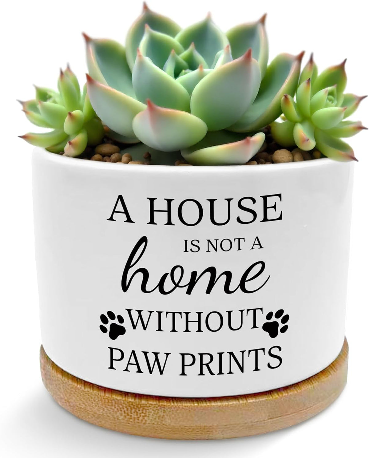 Dog Lover Mom Dad Owner Gifts Plant Pots Succulent Planters