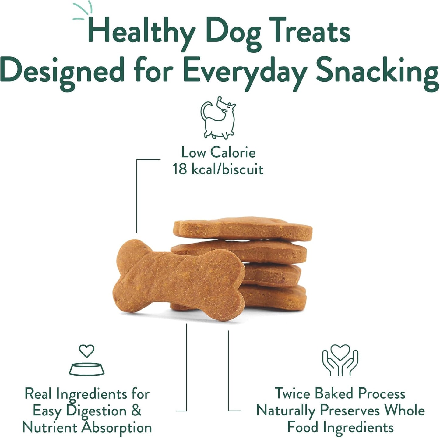 Portland Pet Food Company Pumpkin Dog Treats Healthy Biscuits for Small Medium & Large Dogs - Grain-Free, Human-Grade, All Natural Cookies, Snacks & Training Treats - Made in the USA - 3 Pack (5 Oz)
