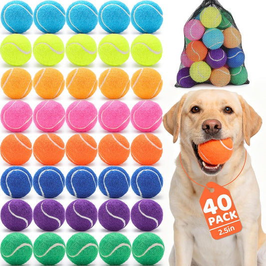 Tennis Balls for Dog 2.5'' Durable Non-Toxic Outdoor Dog Toys Balls with Mesh Bag,Colorful Fetch Toys Balls for Medium Dog (Non Squeaky)