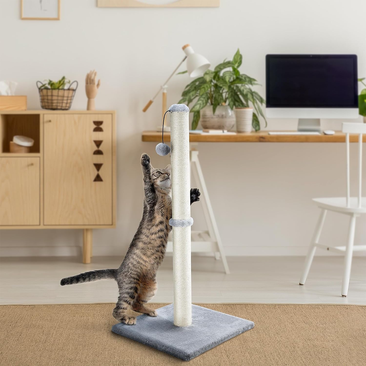 Dimaka 29" Height Tall Cat Scratching Post, Claw Scratcher with Sisal Rope and Covered with Soft Smooth Plush, Vertical Scratch [Full Strectch] for Standard Size Cats(Grey, 29 Inches for All Cats)